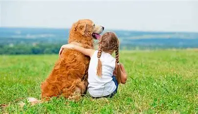 Girl hugging dog in grassy field.