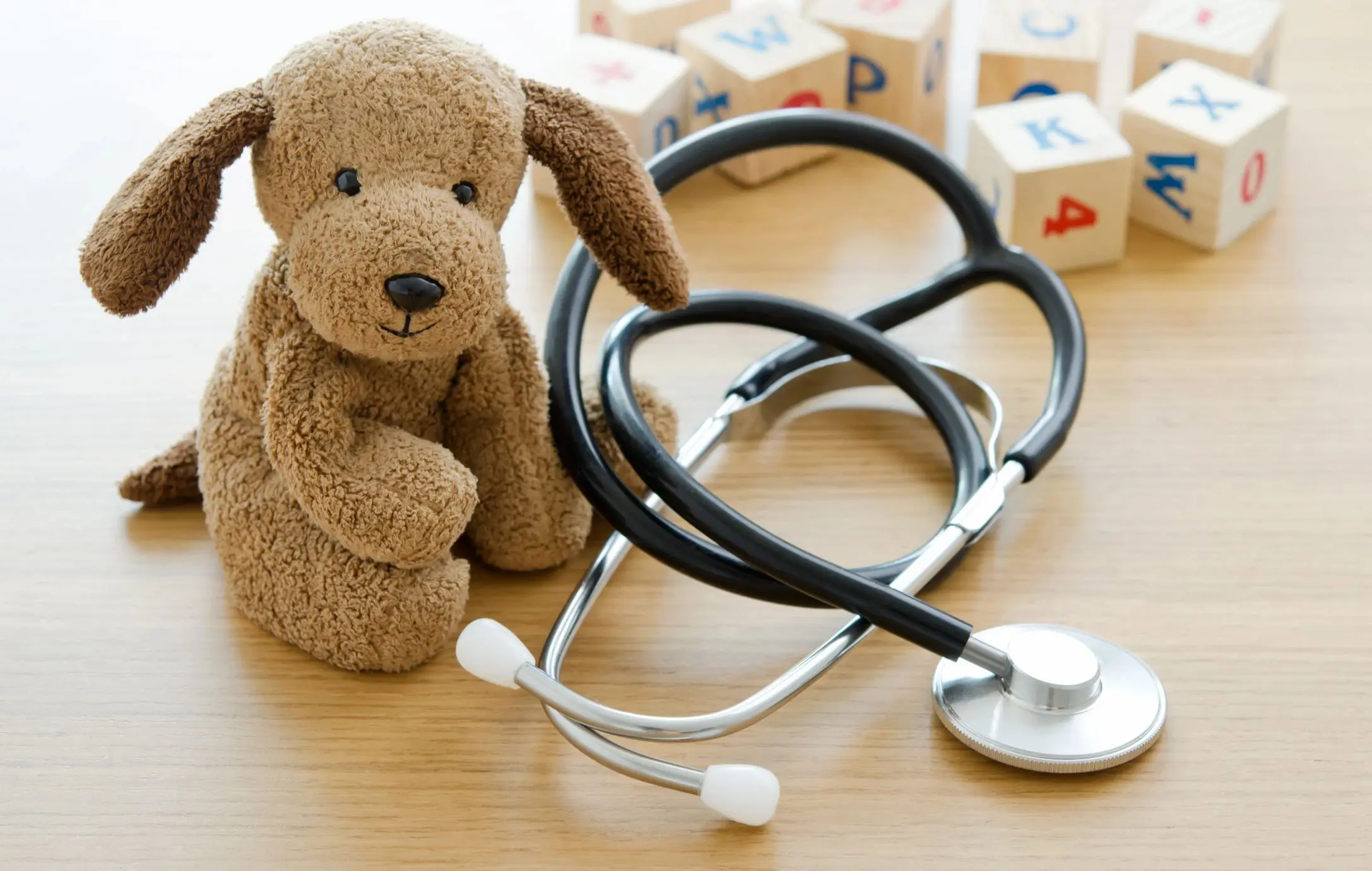 Toy dog with stethoscope and alphabet blocks.