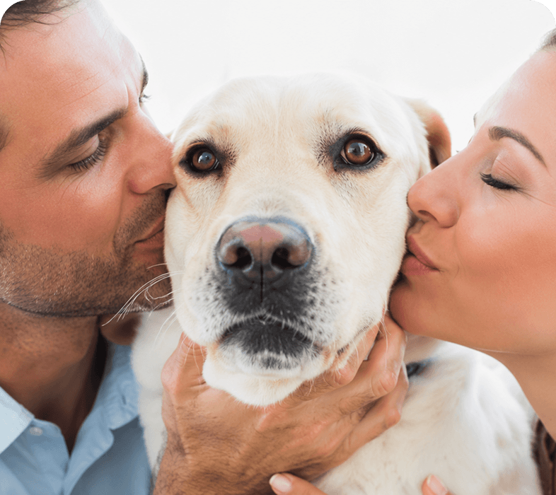 Couple kissing a Labrador dog lovingly.