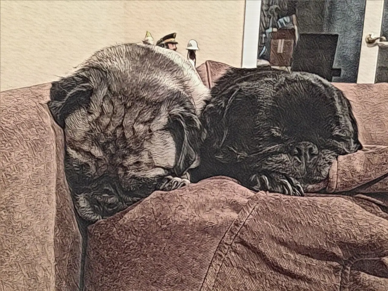 Two pugs sleeping on a couch.